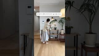 단독주택 장식장 커피 머신 거실 식물 인테리어 #거실인테리어 #장식장 #브레빌870