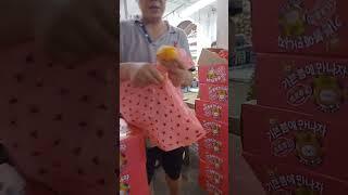 SG taste testing 新加坡 试吃