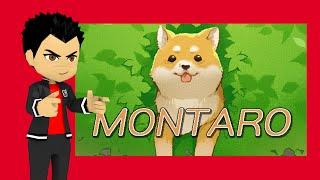 Budget Treasures: Montaro