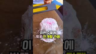 문버드 -'아직 만개 전, 양주 벚꽃뷰 카페