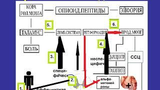 Лекция "Травматический шок"