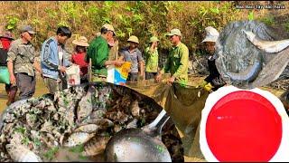 NUÔI CÁ, Ăn cá nhảy, gỏi cá, tiết canh cá | Hoa Ban Tây Bắc Farm