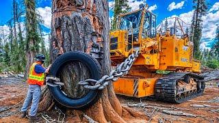 Extreme Dangerous Fastest Big Chainsaw Cutting Tree Machines | Monster Stump Removal Excavator #13