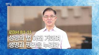 [생명의 삶 큐티] 20200807 성령의 법 아래 거하며 생명과 평안을 누리라 (로마서 8:1~11) @반태효 목사