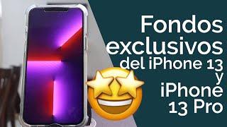 DESCARGA LOS FONDOS DE PANTALLA EXCLUSIVOS DEL IPHONE 13!