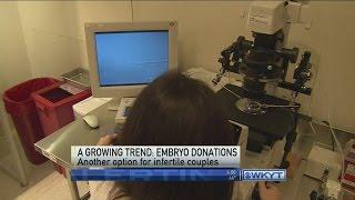 Embryo Donation, A Somerset woman donates emryos