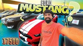 Affordable Ford Mustang In Dubai | Cheap Mustang In Dubai | How To Buy A Car In Dubai