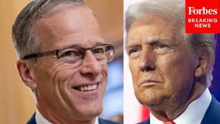 John Thune Previews Trump's Congressional Address To Highlight His 'Considerable Record Of Success'