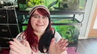 I Need a Change - A New Chapter of Stressinabox