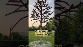 Помощь #motivation #помощь #психология #мудрость #взаимоотношения #взаимопомощь #паркгалицкого