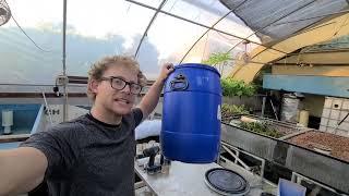 Simple pond filter build #pond #koi