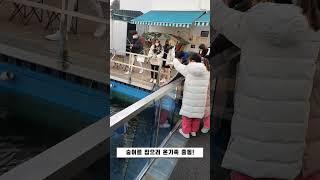 숭어잡이 숭어낚시