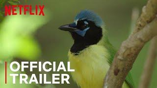 Birders | Main Trailer | Netflix