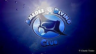 Amedee diving Club ilot Amédée