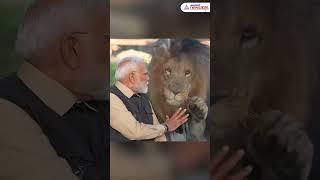 PM Modi Inaugurates Gujarat’s Vantara, Plays with Rare Wildlife Cubs | Asianet Newsable