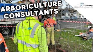 Tasmanian Arboriculture Consultants - Youtube intro