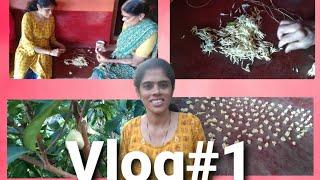 1st Vlog//Mallika Kitchen And Vlogs