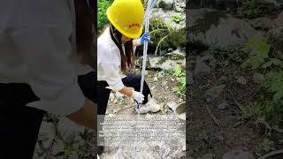 Concrete Queen: The Graceful Art of Precision Pouring!