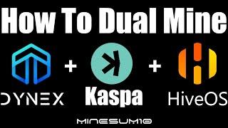 How to Dual Miner Kaspa & Dynex on HiveOS