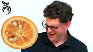 Tasting a Bizarre Citrus Fruit from Soviet Russia