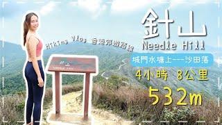 [針山 Needle Hill] 香港行山好去處| 荃灣 - 城門水塘 - 麥理浩徑第7段 - 針山 - 沙田 | 全程8公里‍️| 2星難度行山路線⭐️