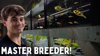 Top 10 Fish to Breed for Profit | Master Breeders Advice