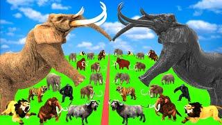 Prehistoric Mammals vs Shadow Modern Mammals Size Animal Epic Battle Animal Revolt Battle Simulator