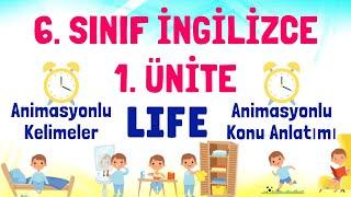 6. Sınıf İngilizce 1. Ünite Konu Anlatımı Kelimeler | Life