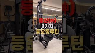 등신(神) 만들어주는 8가지 등운동루틴!