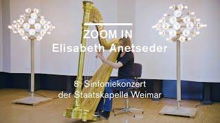 ZOOM IN // 8. Sinfoniekonzert der Staatskapelle Weimar