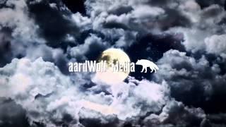 aardwolf media intro