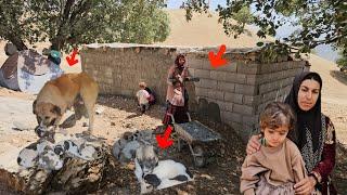 Khadija's relentless efforts to cement the back of the hut so they can soon have shelter