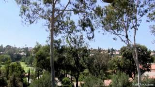 San Diego Hotels - Rancho Bernardo Inn Golf Resort & Spa - SanDiego.com