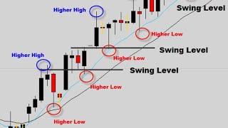 Hustle Trading Fx -  How To Profit From Highs And Lows