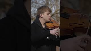 lovely - zotov - violin cover