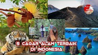 Cagar Alam Terbaik di Indonesia