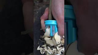 Sharpen stick = fire tinder?! #camping #survival #bushcraft #outdoors #forest #outdoors #lifehacks