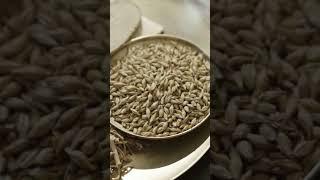 근본부터 다른 이경제 원장의 흑염소 래오이경제 흑염소진액 원 #흑염소 #흑염소진액 #이경제흑염소