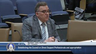 Committee on State and Local Government - 03/13/25