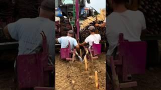 Modern Farming!#johndeere #farming #harvest #agro #farmequipment #shorts