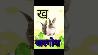 a se anar video, ka se kabutar wala, क से कबूतर video, अ से अनार #shorts #shortvideo #youtubeshorts