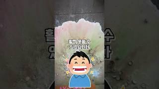 아내와 바람난 절친에게 고맙다는 남편