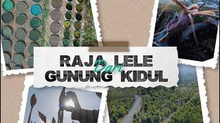 Raja Lele dari Gunung Kidul