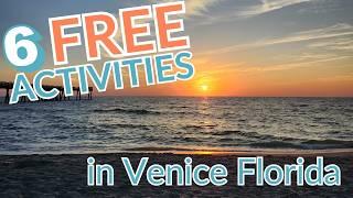 6 Free & Fun Things To Do in Venice Florida (That Locals Love!)