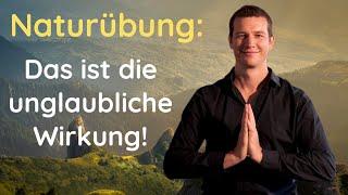 Naturübung: die Qi Gong Übung hat DIESE geniale Wirkung!