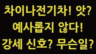 차이나 전기차 앗? 예사롭지 않다! 강세 신호? 무슨일? 중국 주식 주가 전망 TIGER 타이거 ETF SOLACTIVE 테슬라 루시드 아이온큐 TQQQ SOXL TMF