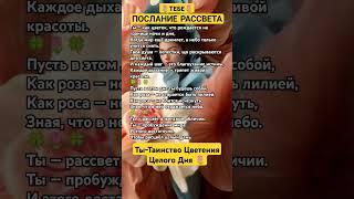 ПОСЛАНИЕ РАССВЕТА ДЛЯ ТЕБЯ#успех #сила #просветление #осознанность #вселенная #душа #счастье