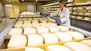 This is How Mozzarella Cheese is Made in Factories! Biggest Mozzarella Cheese Factory!