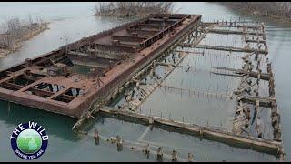 The War On Beavers & The Shipwreck Graveyard Of Detroit