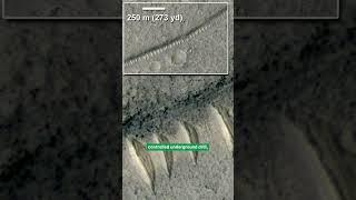 What Are These Glass TUBES on Mars?